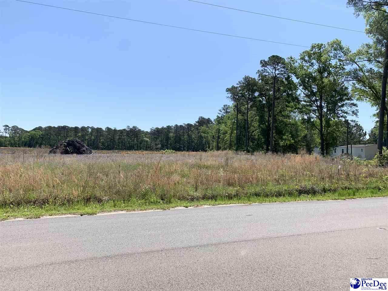 2 acres Pisgah Road - Photo 1 2 acres Pisgah Road - Photo 1