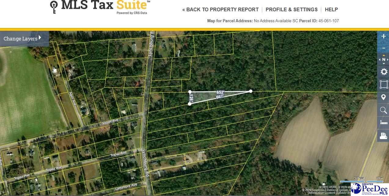 TBD Off Lynchburg Road - Photo 1