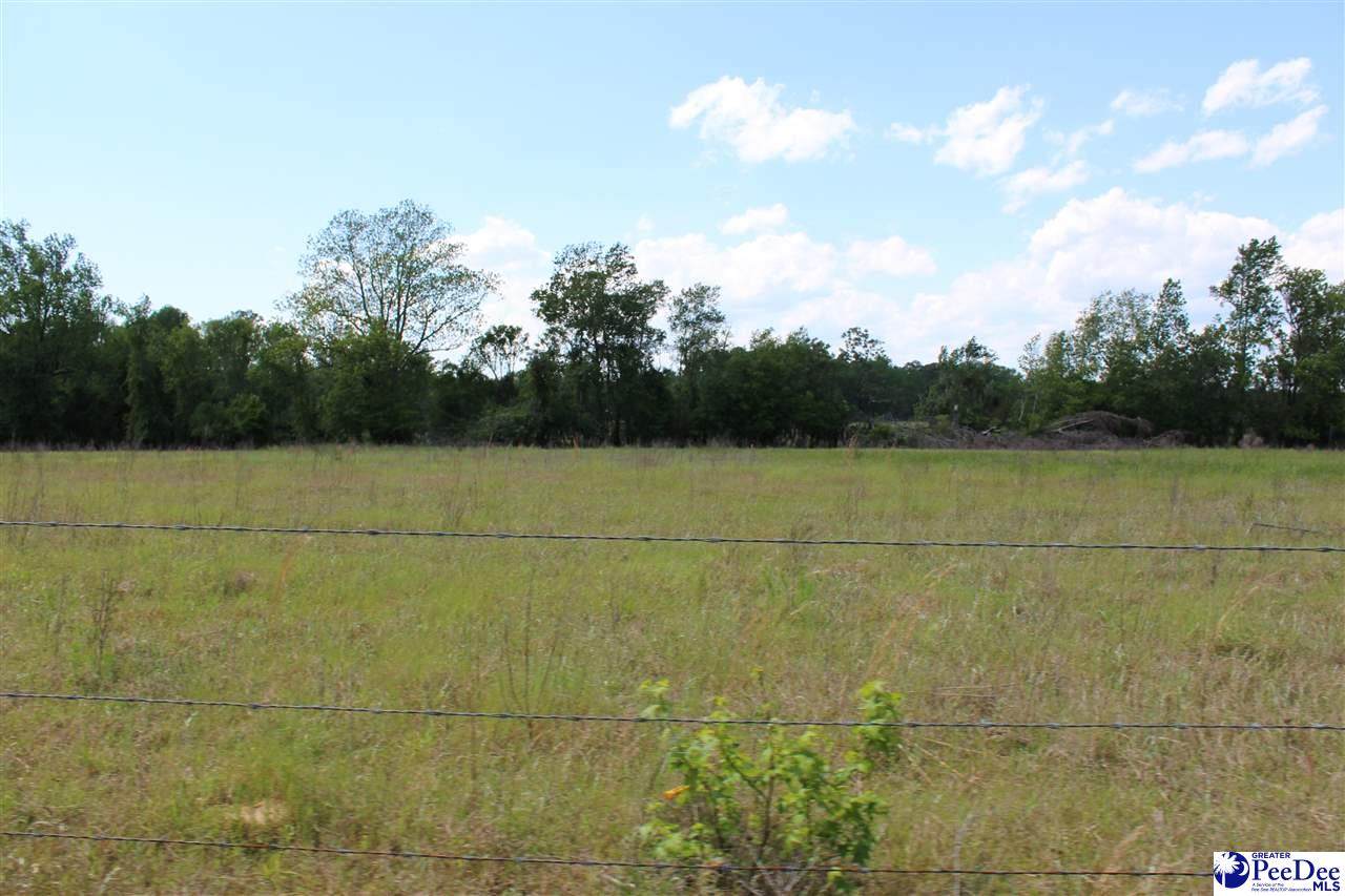 88.37 ac Lynches River Road - Photo 1