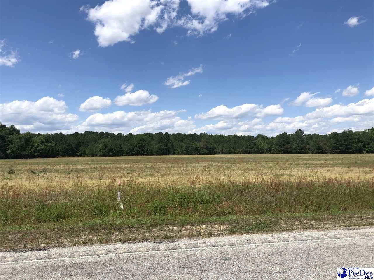 Lot 6 Lamar Hwy - Photo 1 Lot 6 Lamar Hwy - Photo 1
