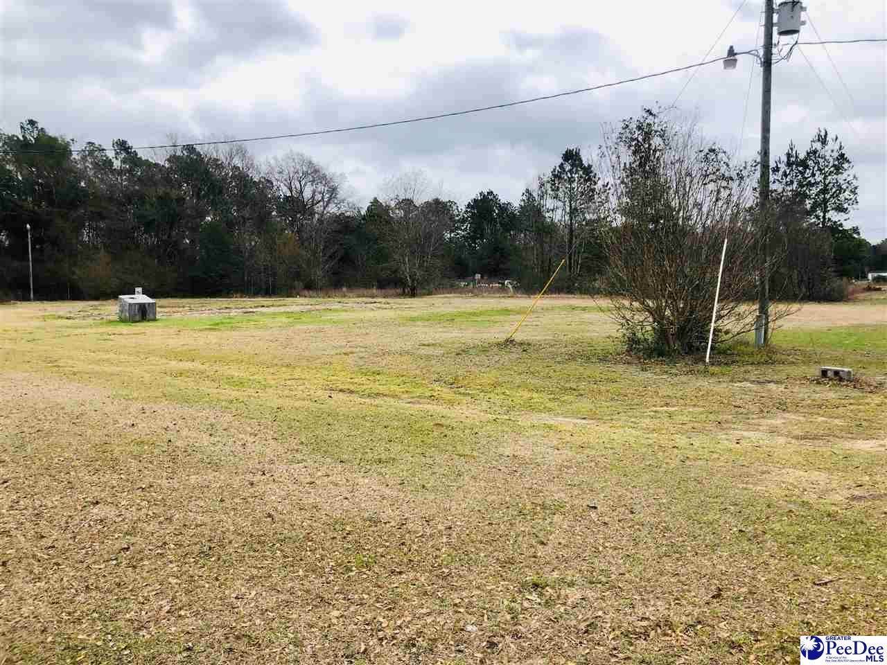 4902 Buck Trail Rd - Photo 1