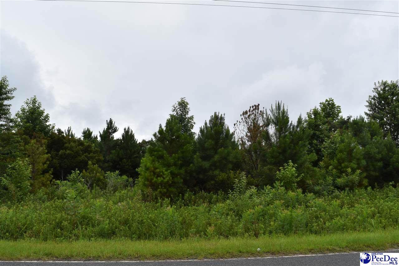 TBD Delta Mill Road - Photo 1