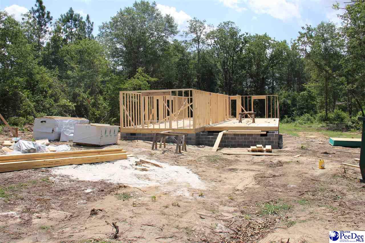 2221 Forest Breeze - Photo 1