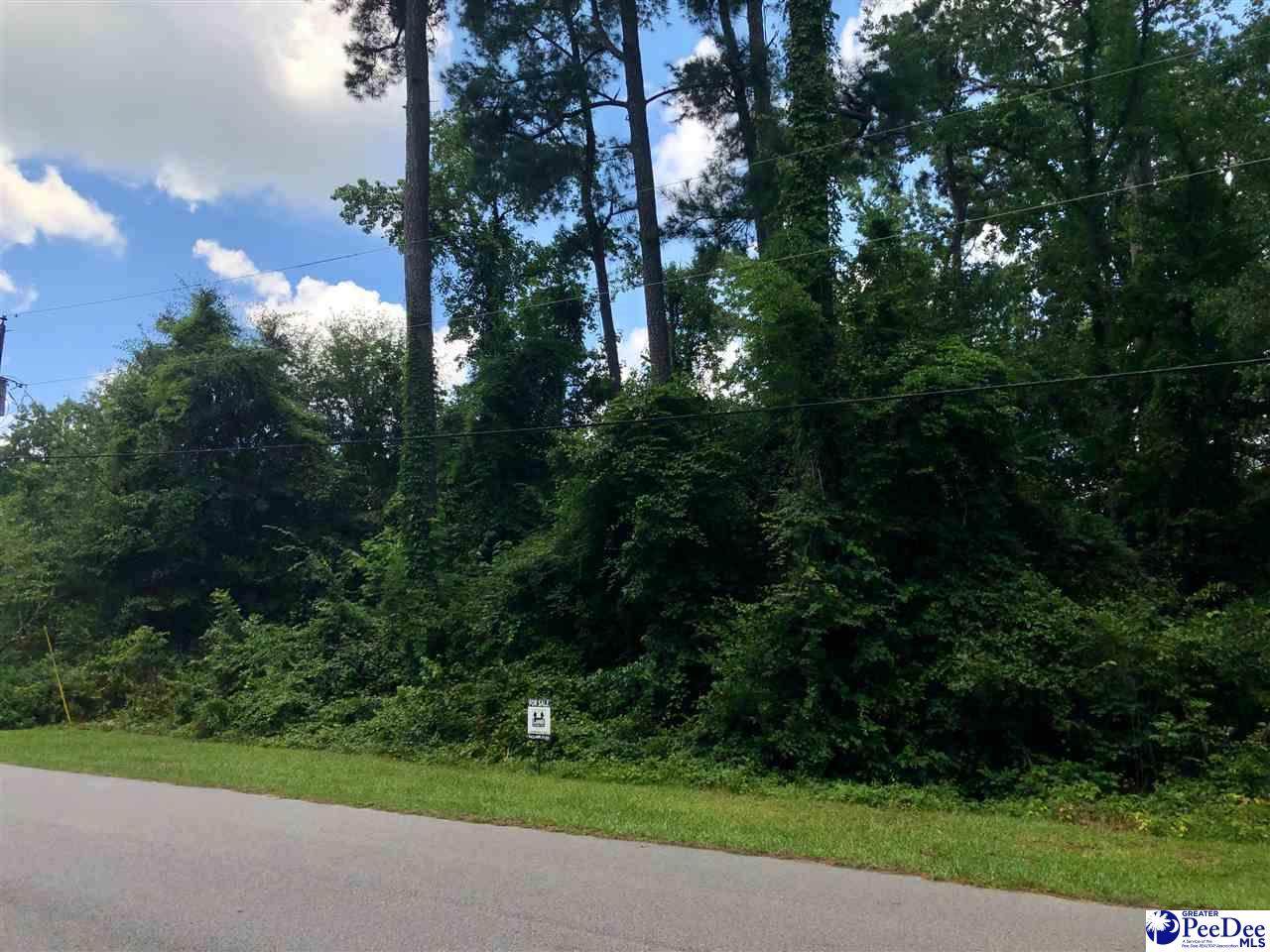 649 Beaverdam Drive - Photo 1