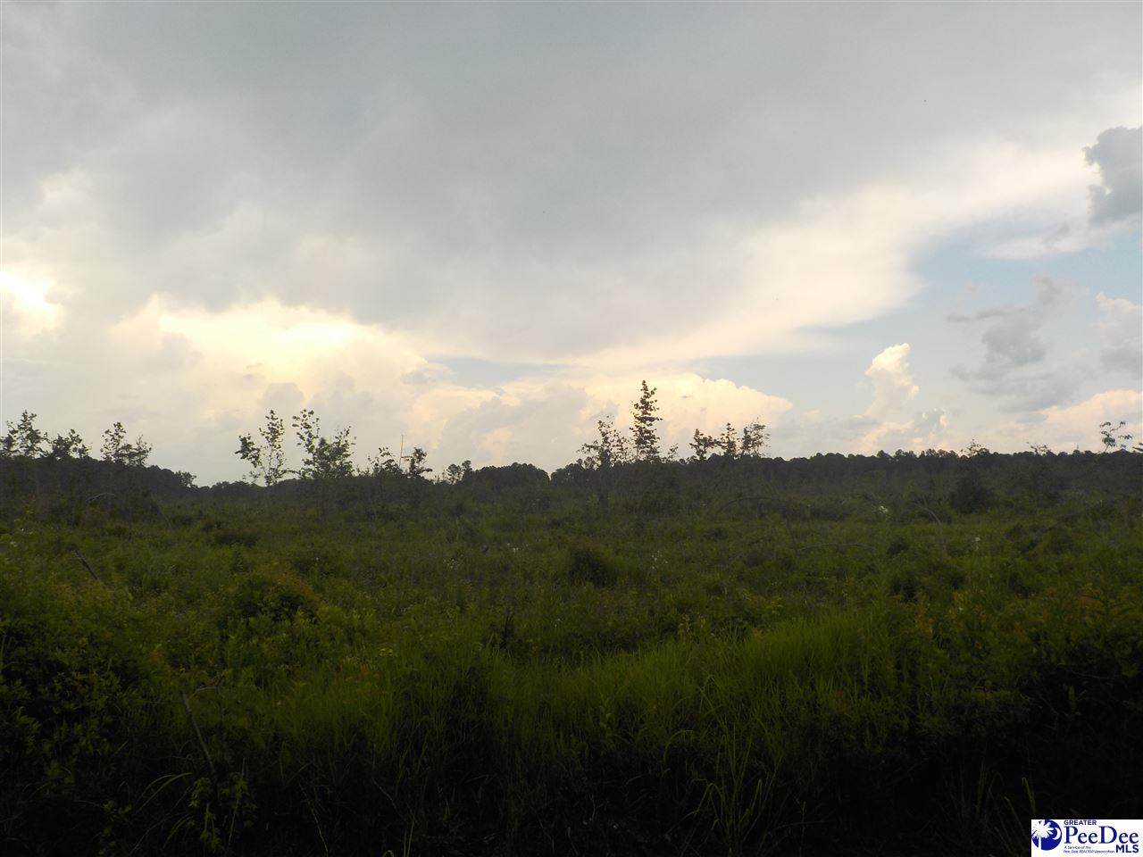 TBD Mary Hubbard Road - Photo 1