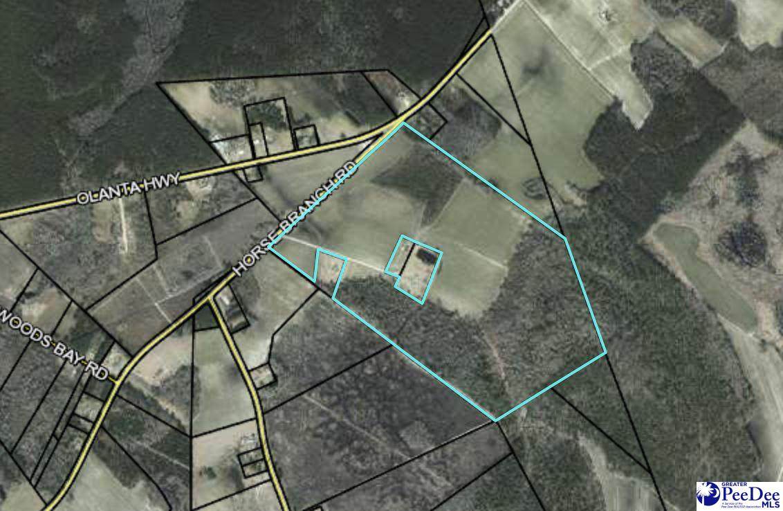 Horse Branch Rd - Photo 1