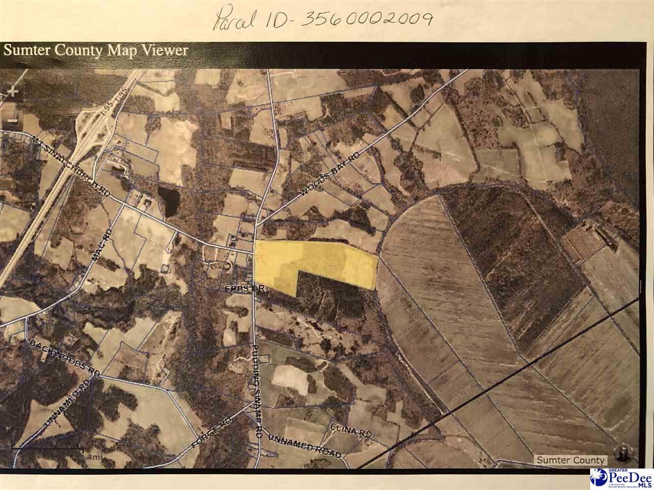 Puddin Swamp Rd - Photo 1