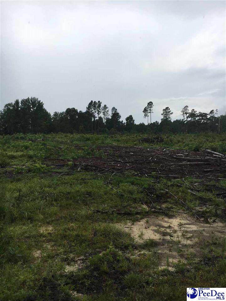 Prospect Church Rd - Photo 1