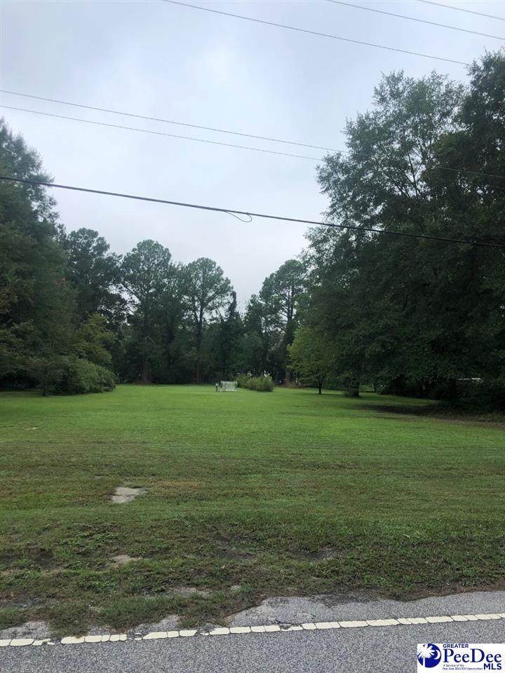 815 Wedgefield Rd - Photo 1