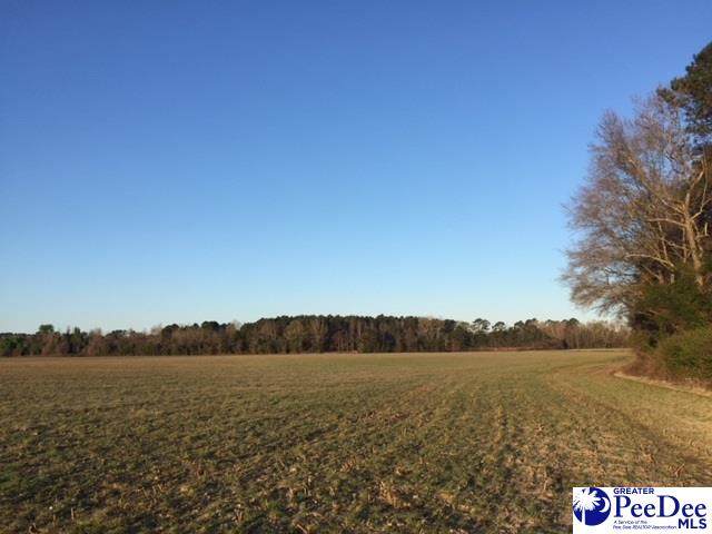 4600 lot 9 Meadors Rd - Photo 1