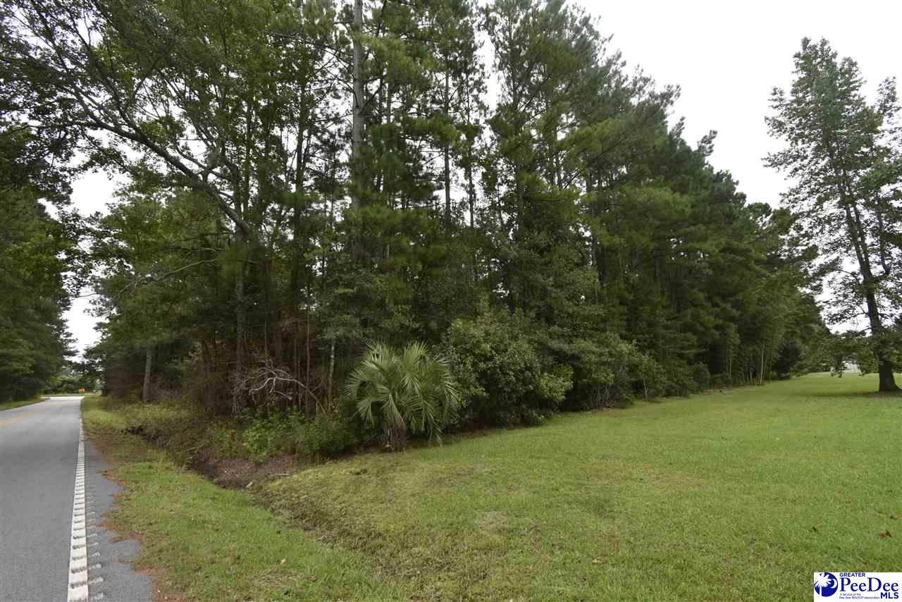 TBD Wallace Road And Pine Haven - Photo 1
