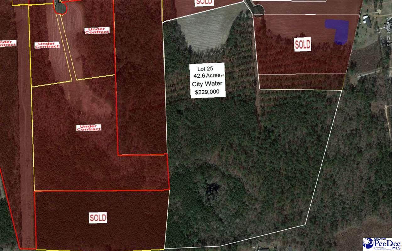 3750 Alligator Rd - Photo 1