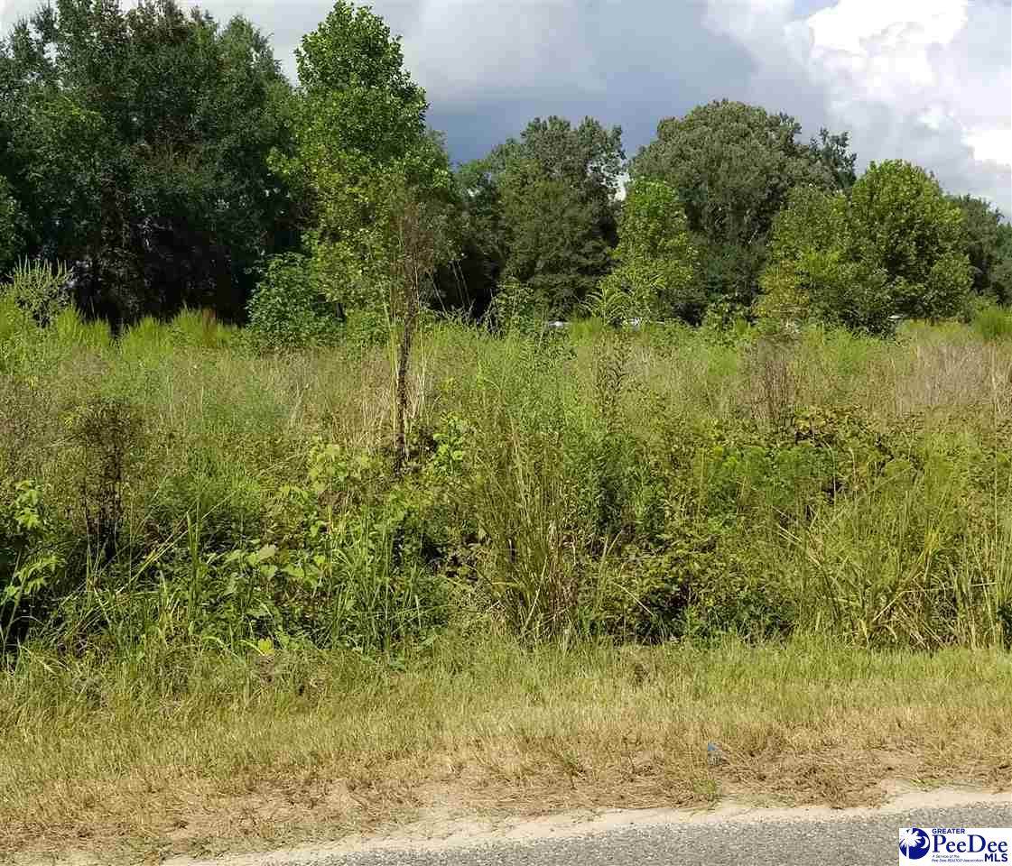 1061 River Rd - Photo 1