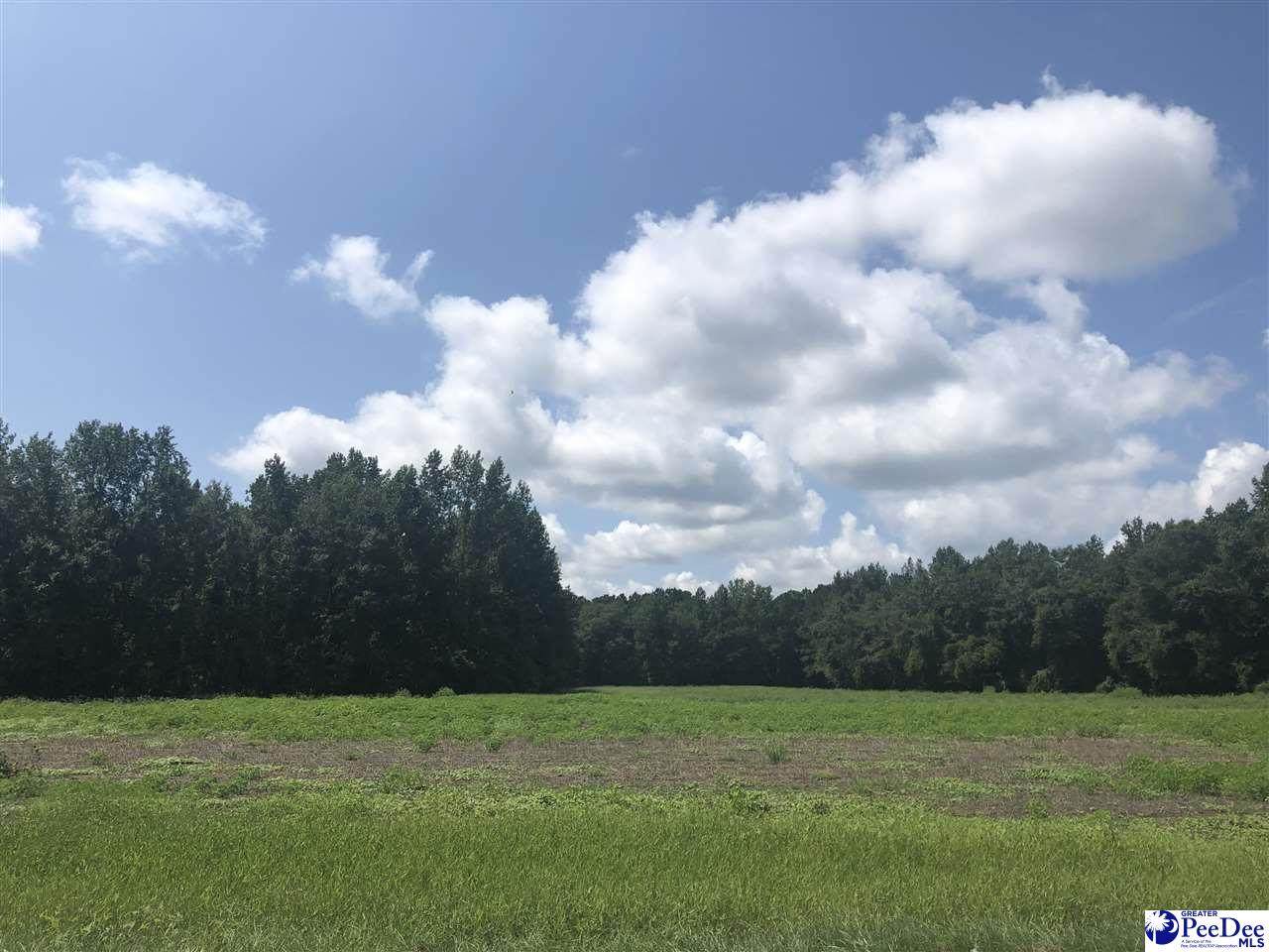 TBD Oates Highway - Photo 1