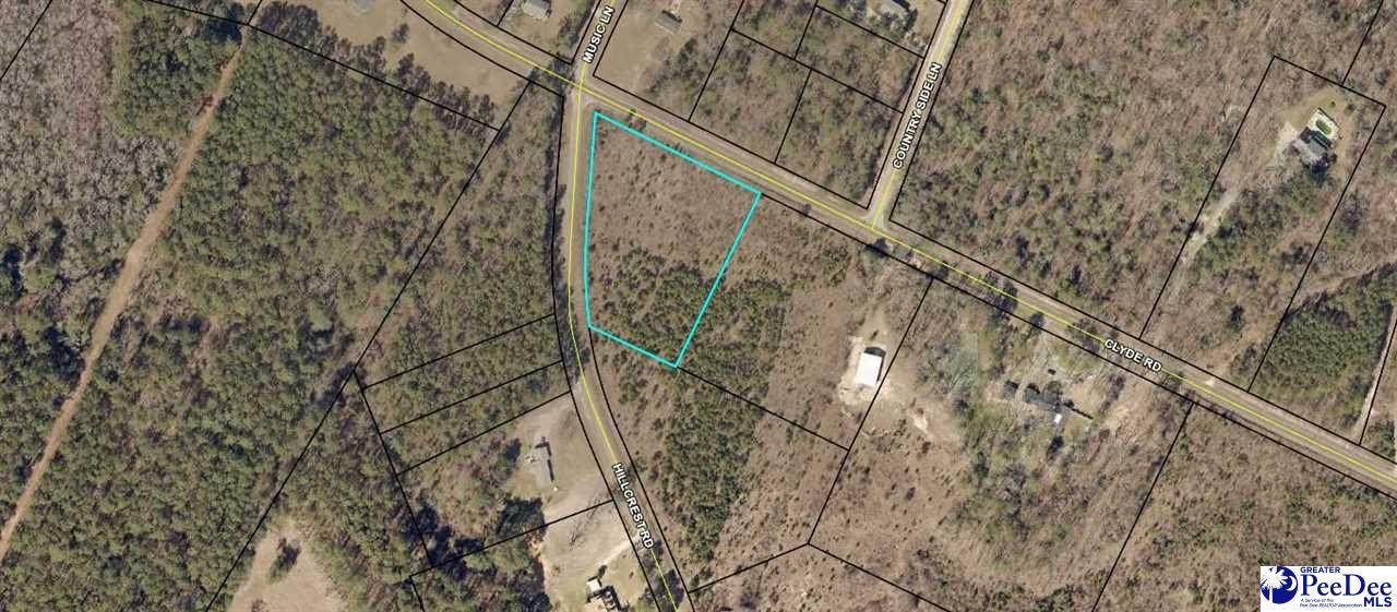 Hillcrest And Clyde Rd - Photo 1