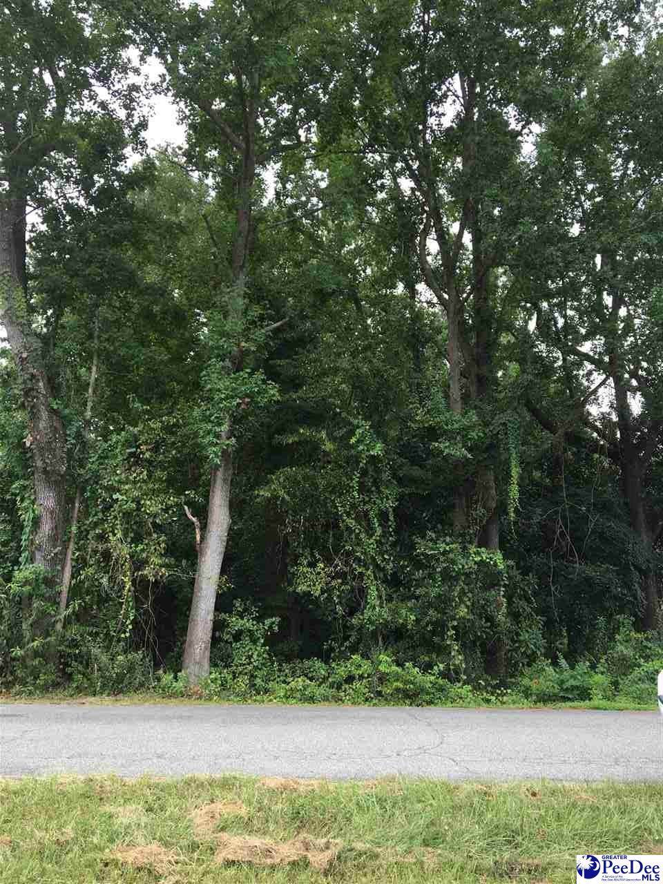 0000 Lakeshore Drive - Photo 1