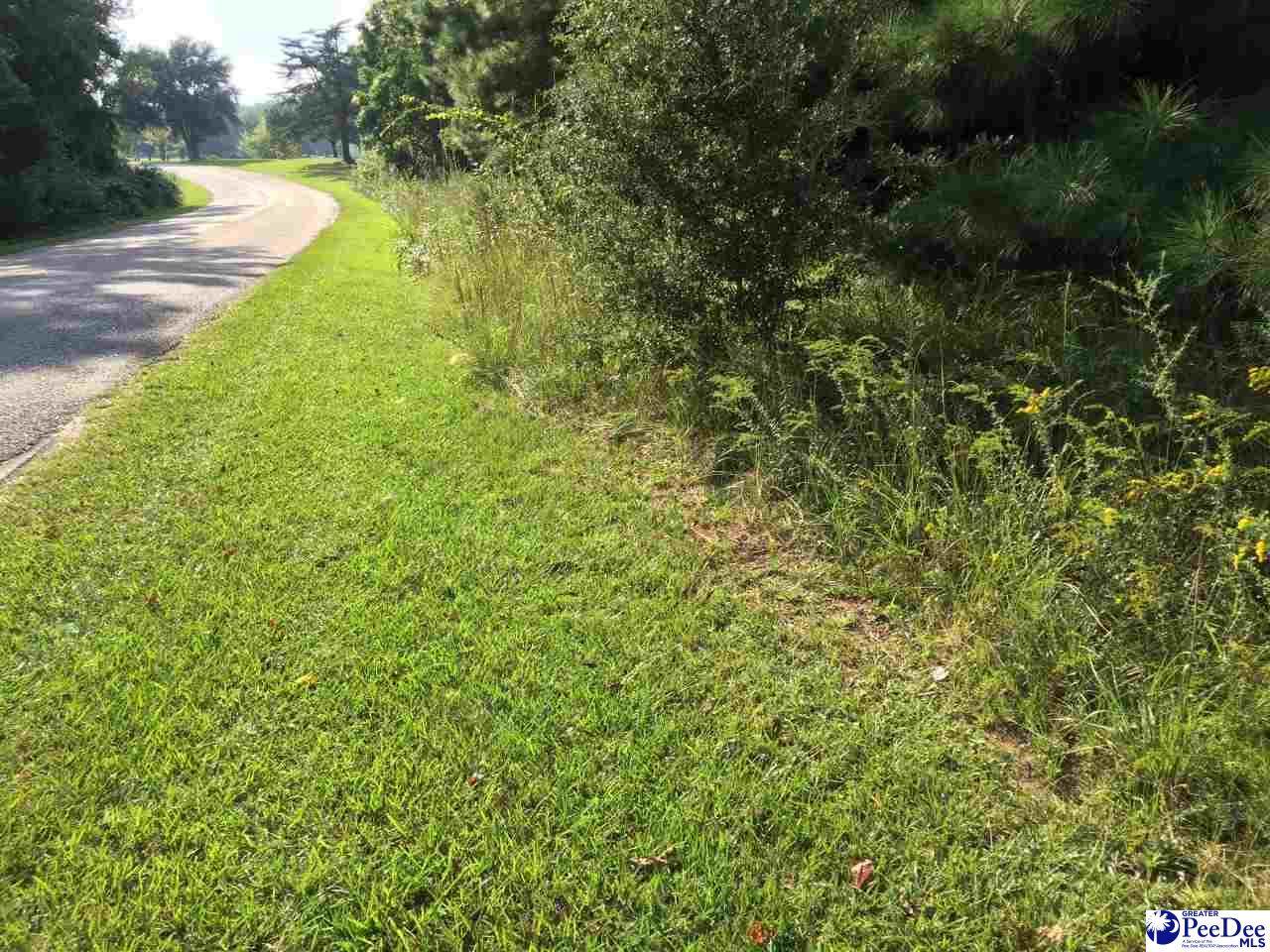 472 Wexford Rd - Photo 1