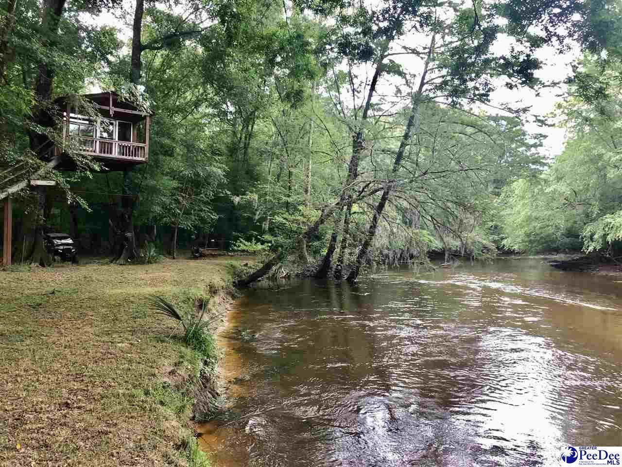 107 Acres Creek Rd - Photo 1