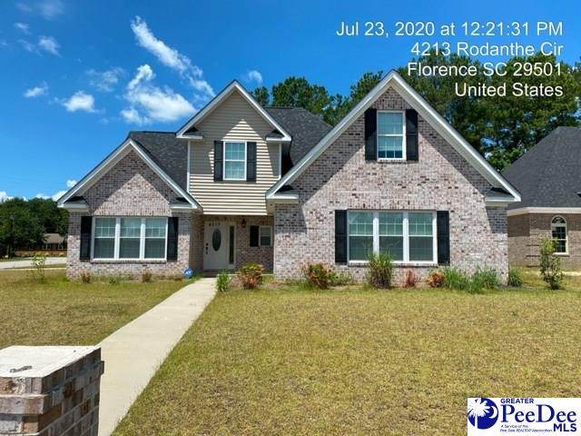 4213 Rodanthe Circle - Photo 1