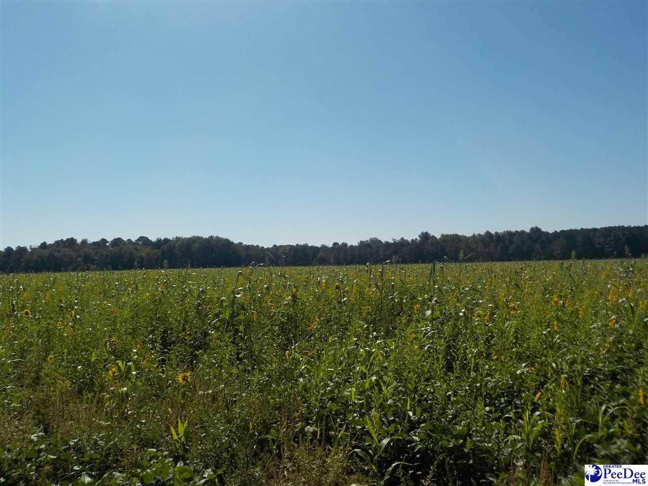 TBD Highway 9 - Photo 1