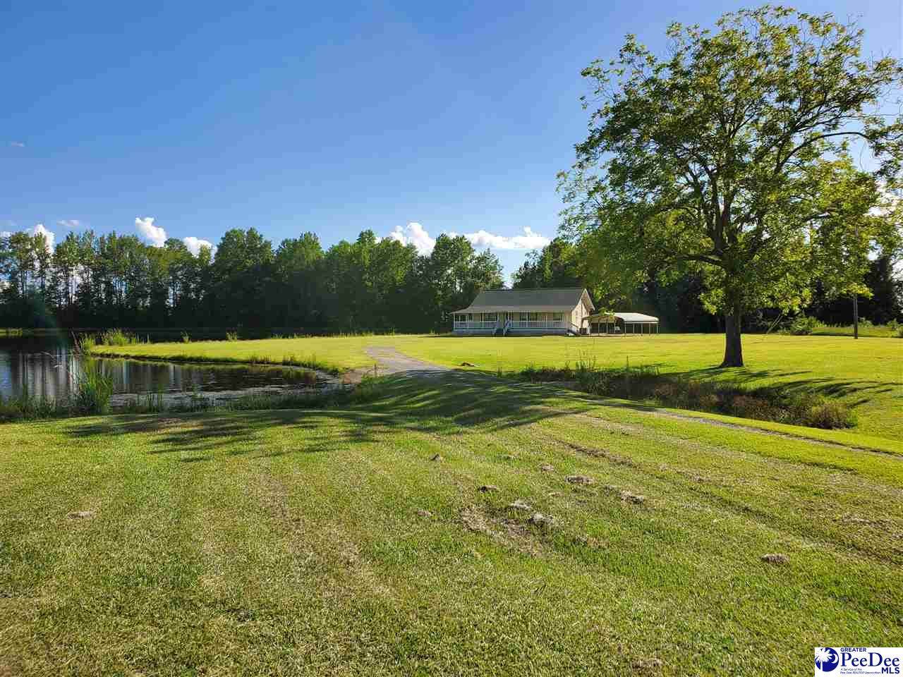 5027 Hwy 38 S - Photo 1