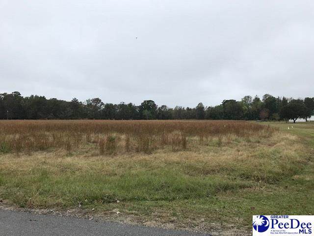 Lot 1 Mclaurin Drive - Photo 1