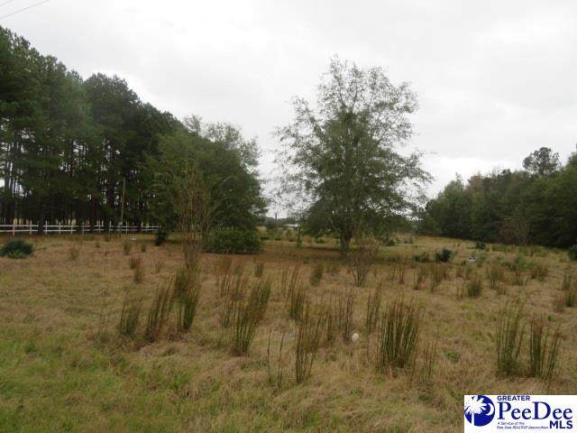 1613 Lide Springs Rd - Photo 1