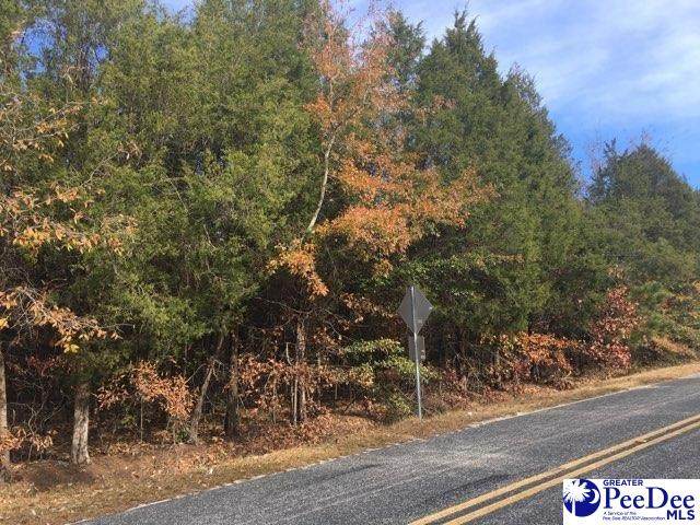 1429 Sail Club Rd - Photo 1