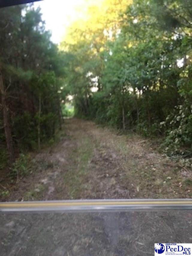 667 Pecan Grove Rd - Photo 1