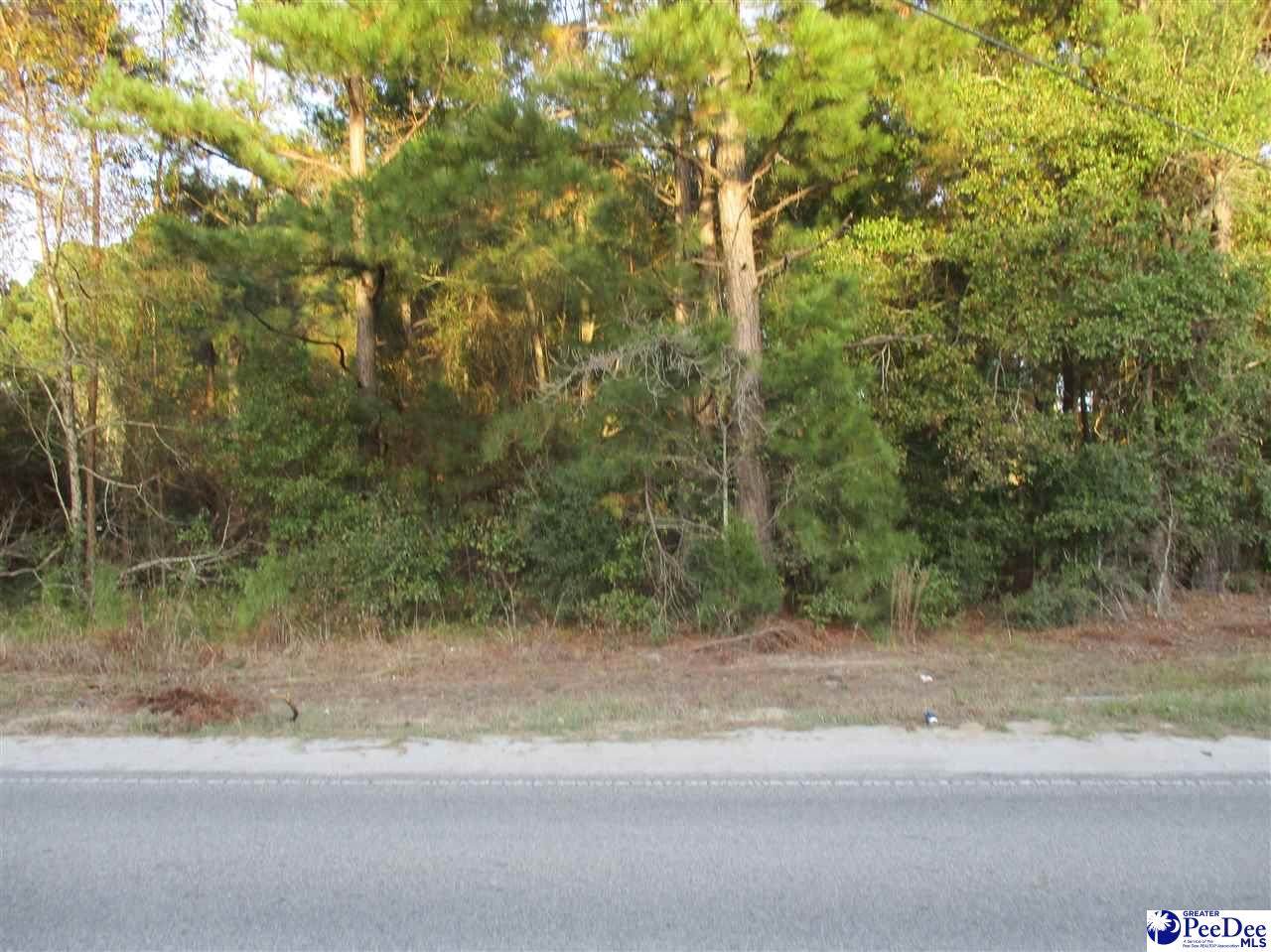 Lot Savannah Grove Rd. - Photo 1