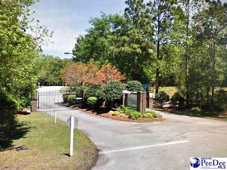 320 Lake Arbu Dr - Photo 1