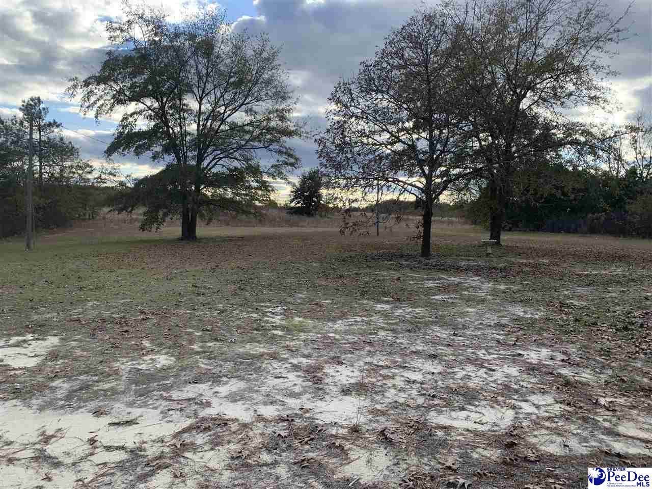 25674 Hwy 151 - Photo 1