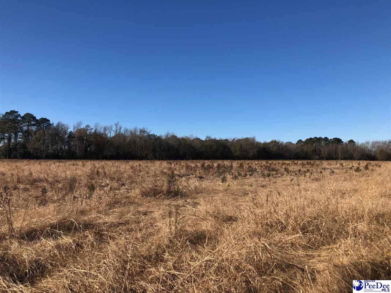 TBD New Hopewell Rd. Lot 3 - Photo 1