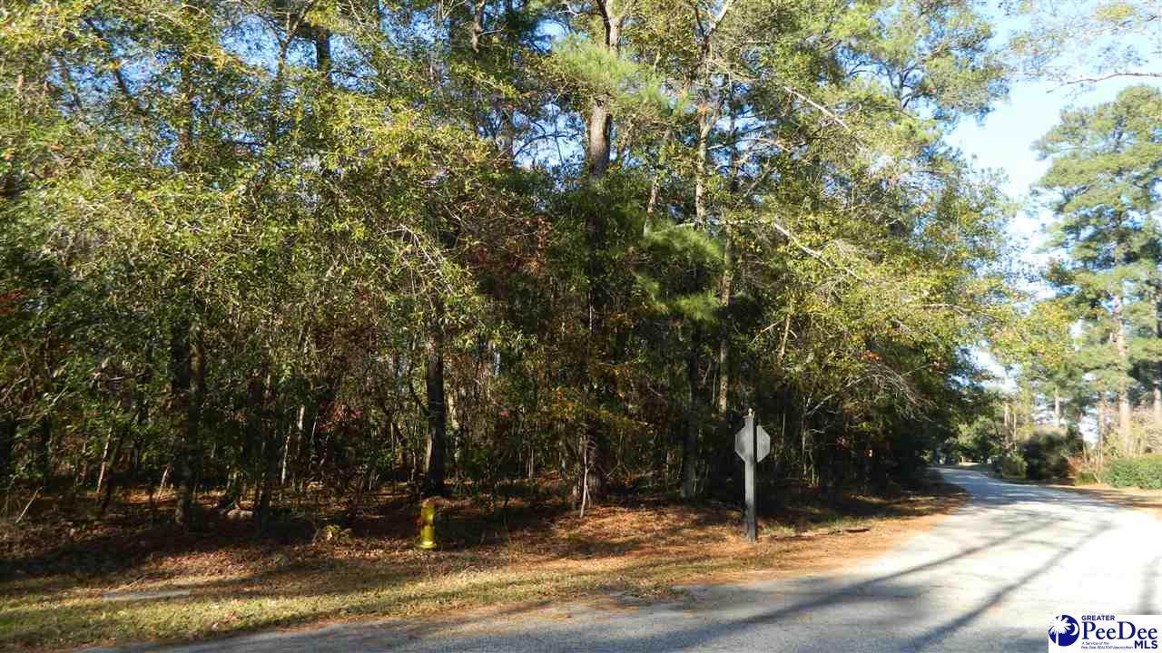 3799 Byrnes Boulevard - Photo 1
