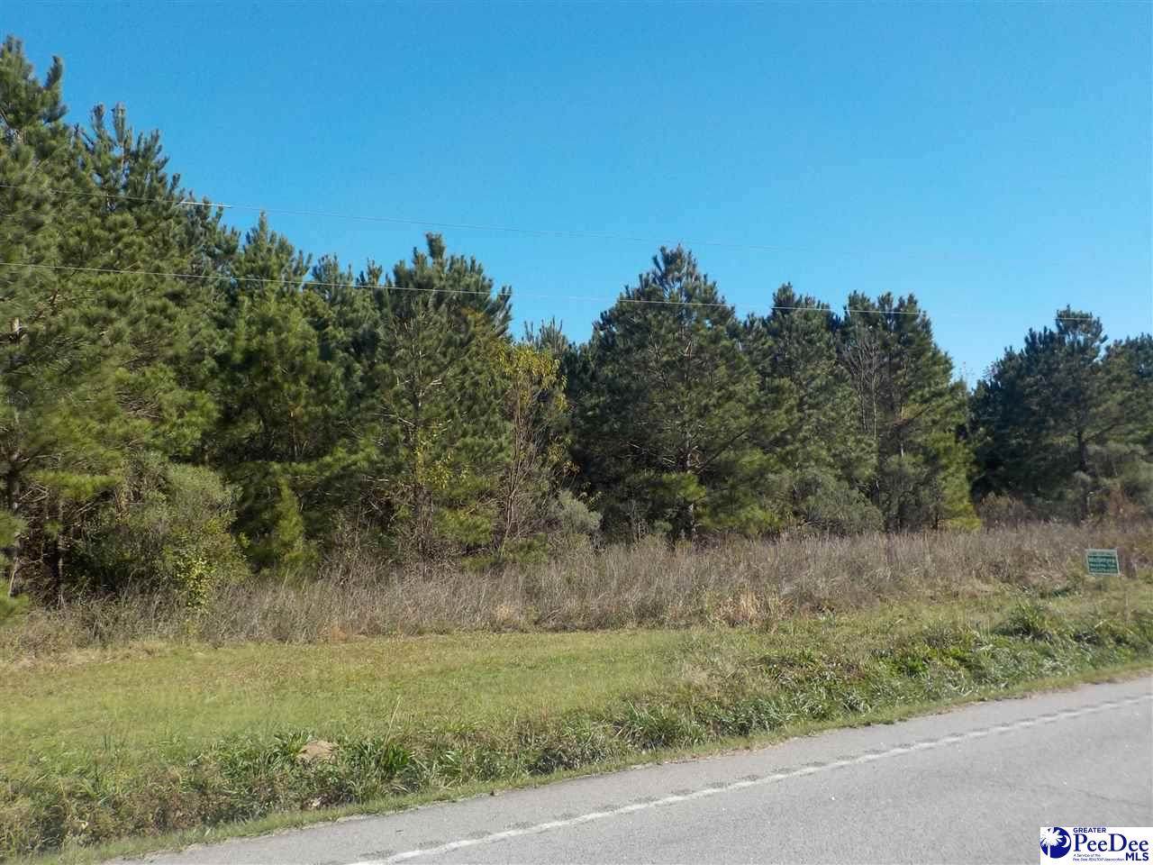 TBD Highway 9 East - Photo 1