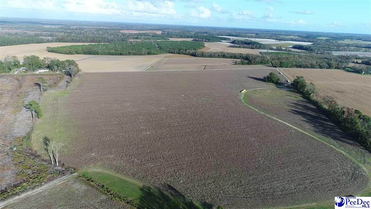 125.27 acres Sinclair Rd - Photo 1