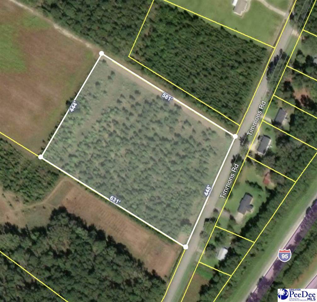 6 acres Timmons Road - Photo 1