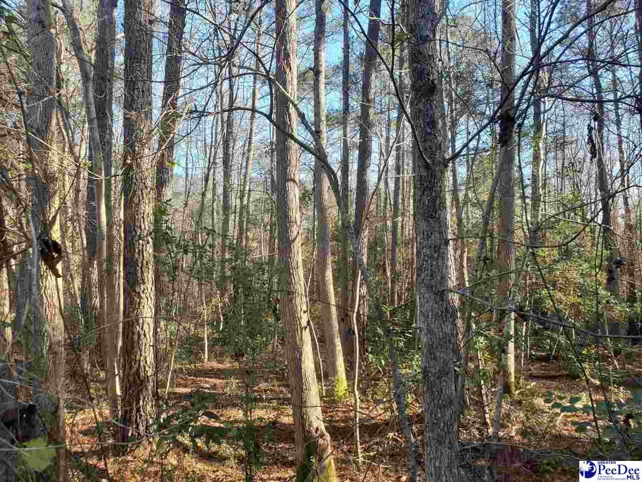 Old Wire Road - Photo 1