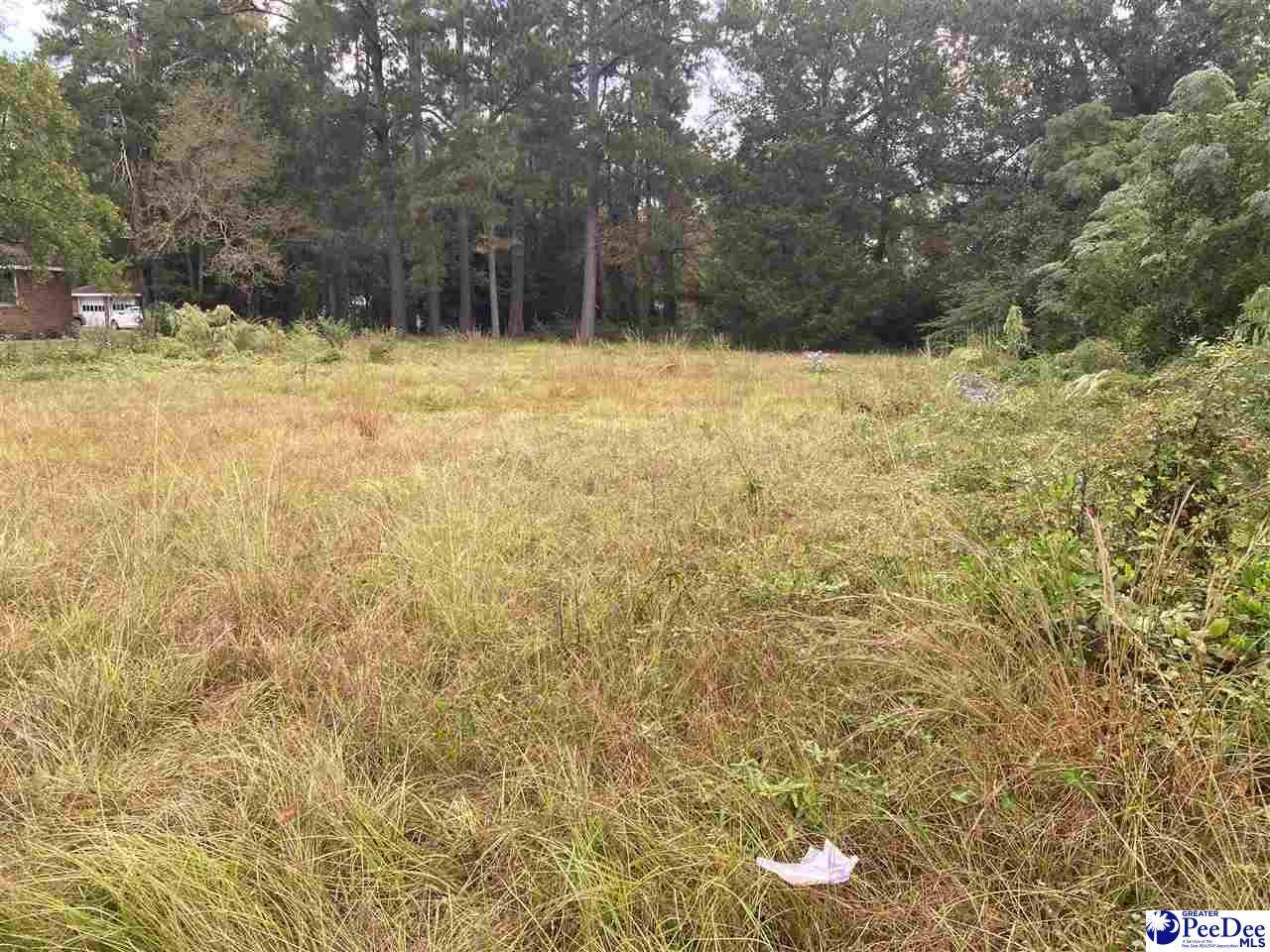 414 Longstreet - Photo 1