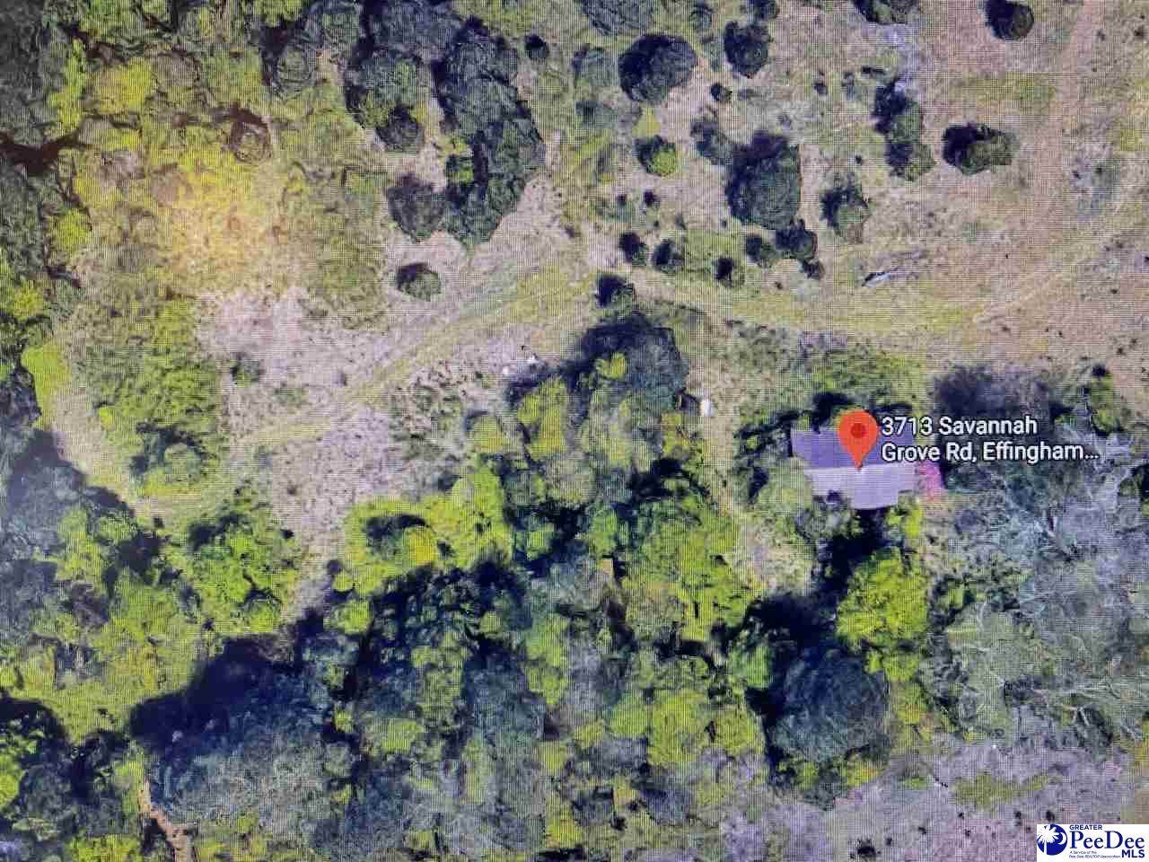 3713 Savannah Grove Road - Photo 1