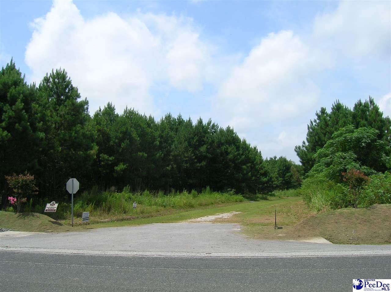 Lot 2 Drake's Nest Lane - Photo 1