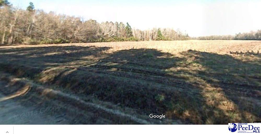 Lot 2 Jip Mcdowell Rd - Photo 1