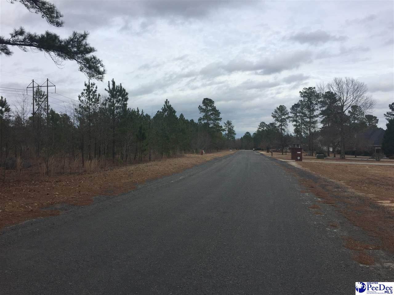 0000 Timberlake Lane - Photo 1