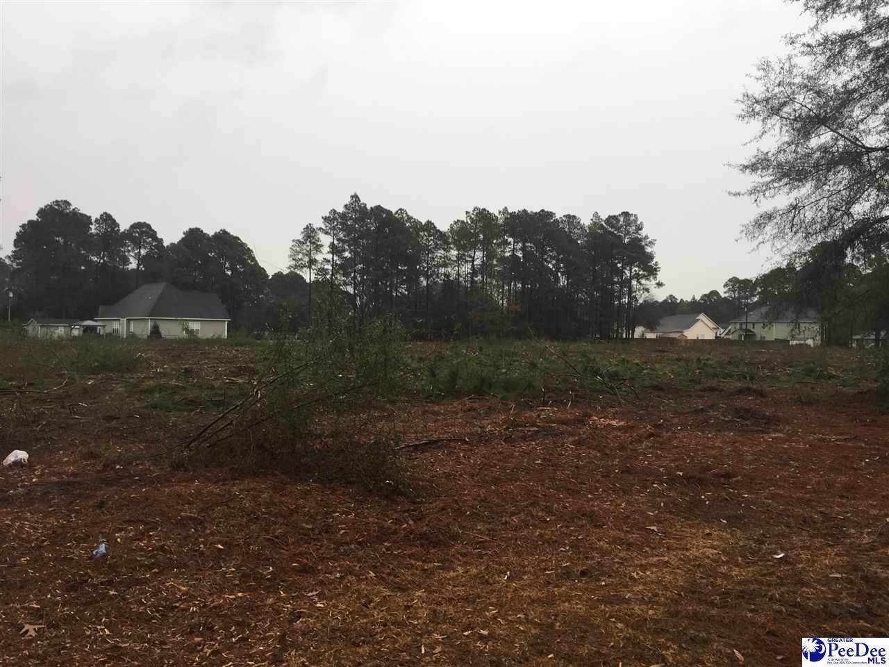 lot 4 Forest Dr - Photo 1