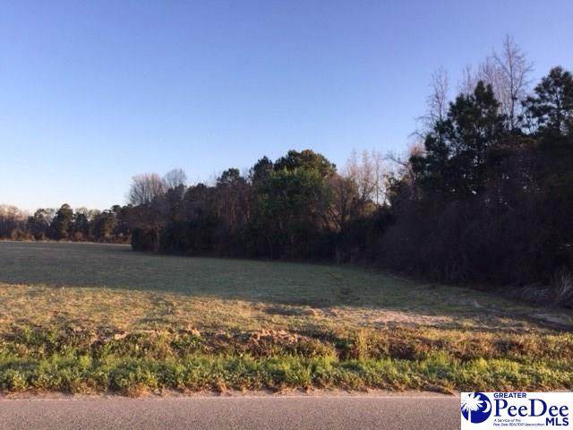 4600 Lot 3B Meadors R - Photo 1