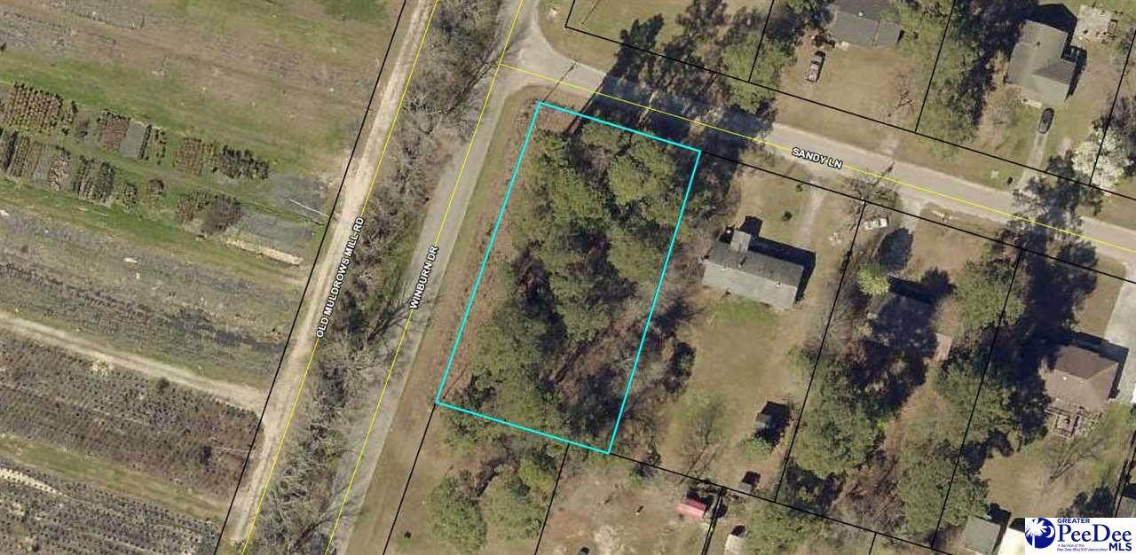 3832 Sandy Ln - Photo 1