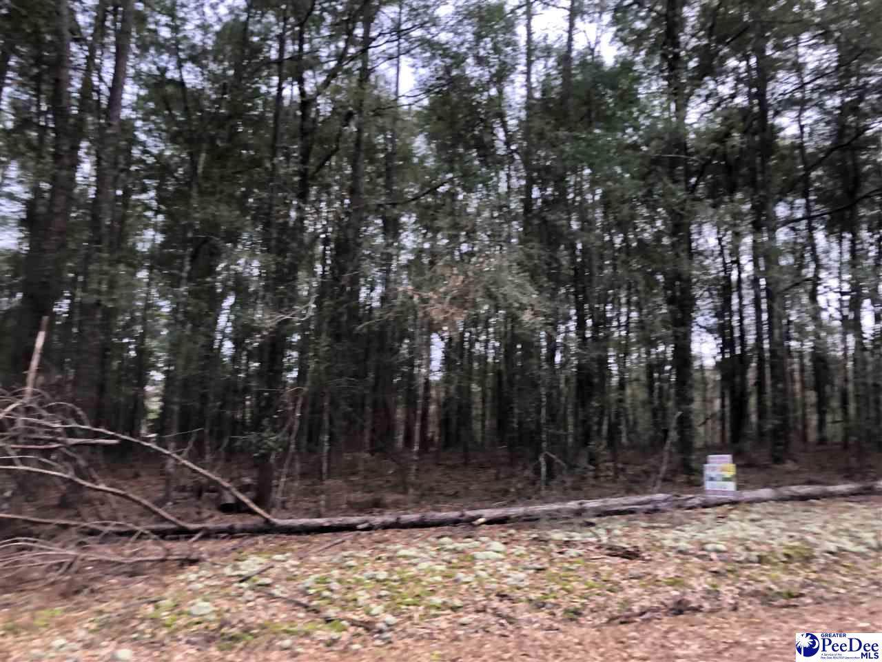00 Medford Drive - Photo 1