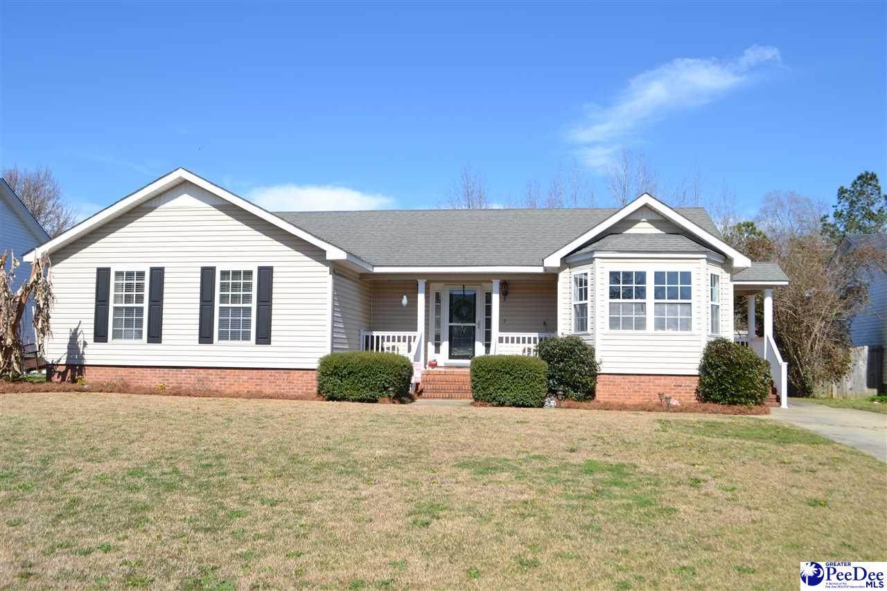 839 Wood Duck Lane - Photo 1