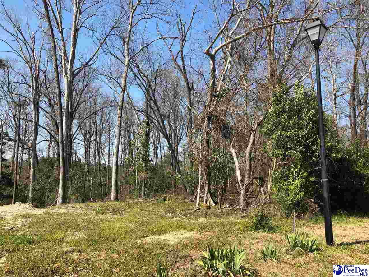 3121 Woodside Circle - Photo 1