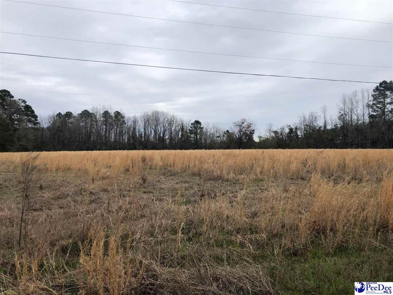 5 acres Stagecoach Road - Photo 1